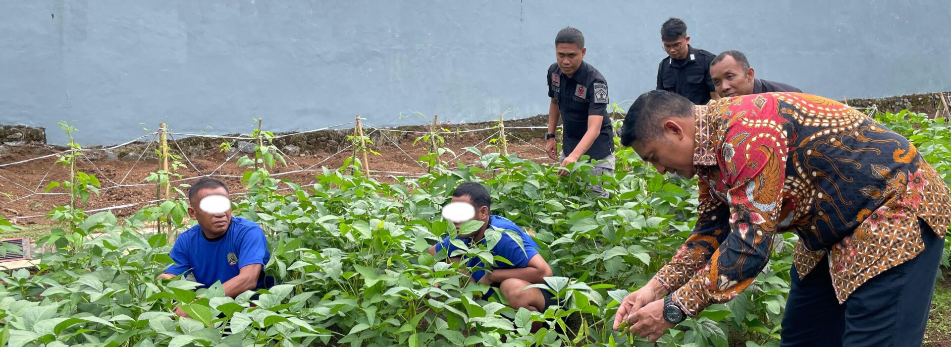 Wujudkan Ketahanan Pangan, Kalapas Narkotika Karang Intan Pantau Langsung Lahan Pertanian Kedelai untuk Produksi Tempe