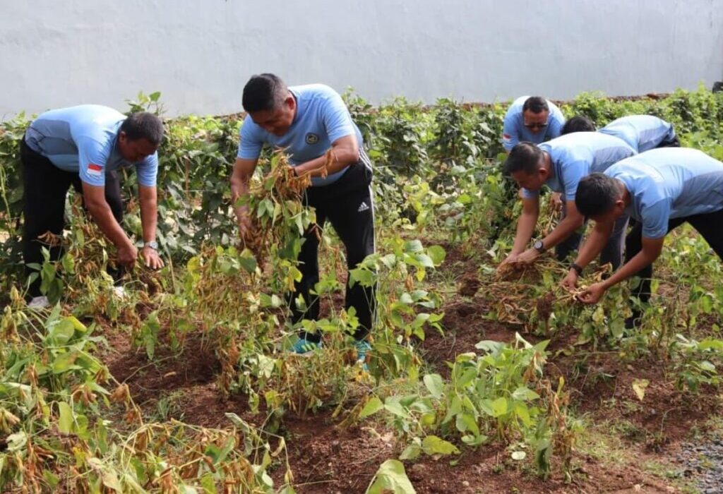 Lapas Narkotika Karang Intan Dorong Kemandirian Pangan Melalui Budidaya Pertanian